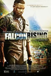Falcon Rising 2014
