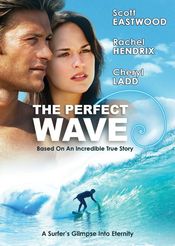 The Perfect Wave 2014